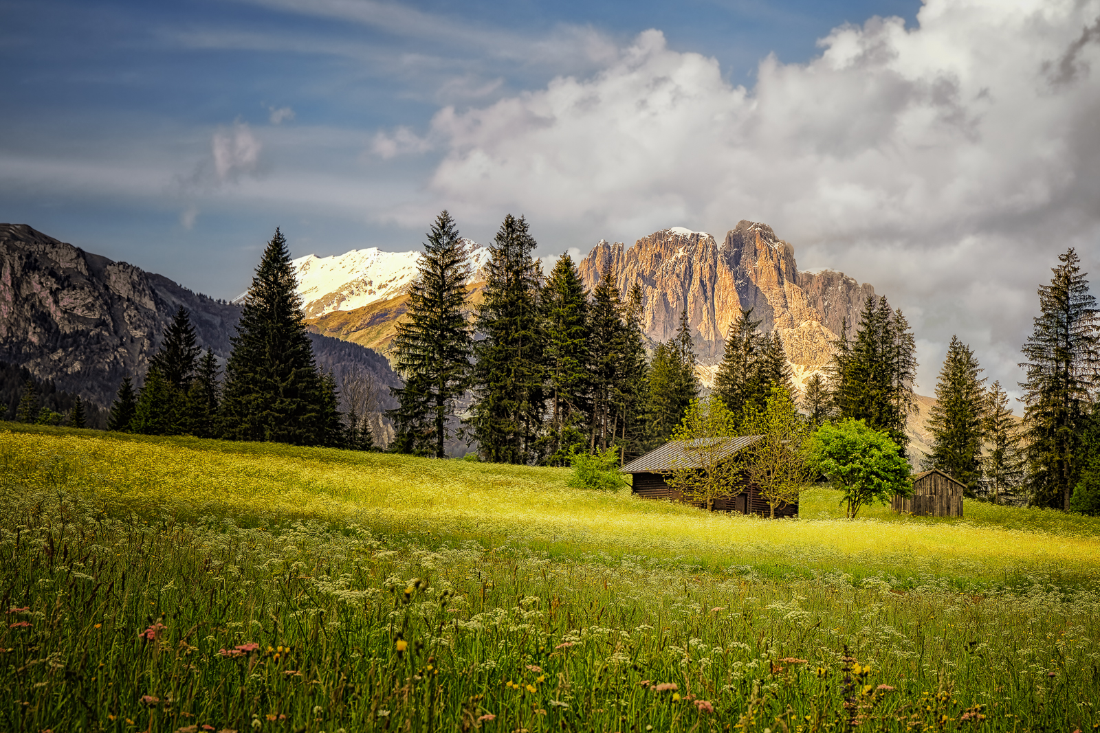 Gruppo del Sassolungo, Dolomites, Italy